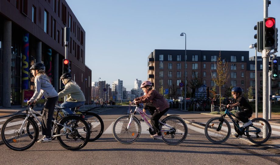 557425099_1126733636311138_3206092241749140248_n