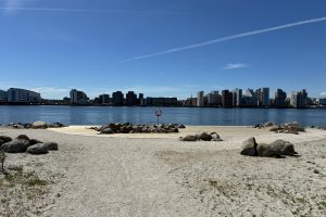 IMG_2604