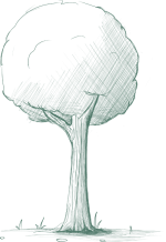 Layer 1 copy