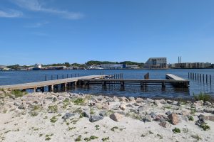 jollehavn 2