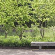 park ref